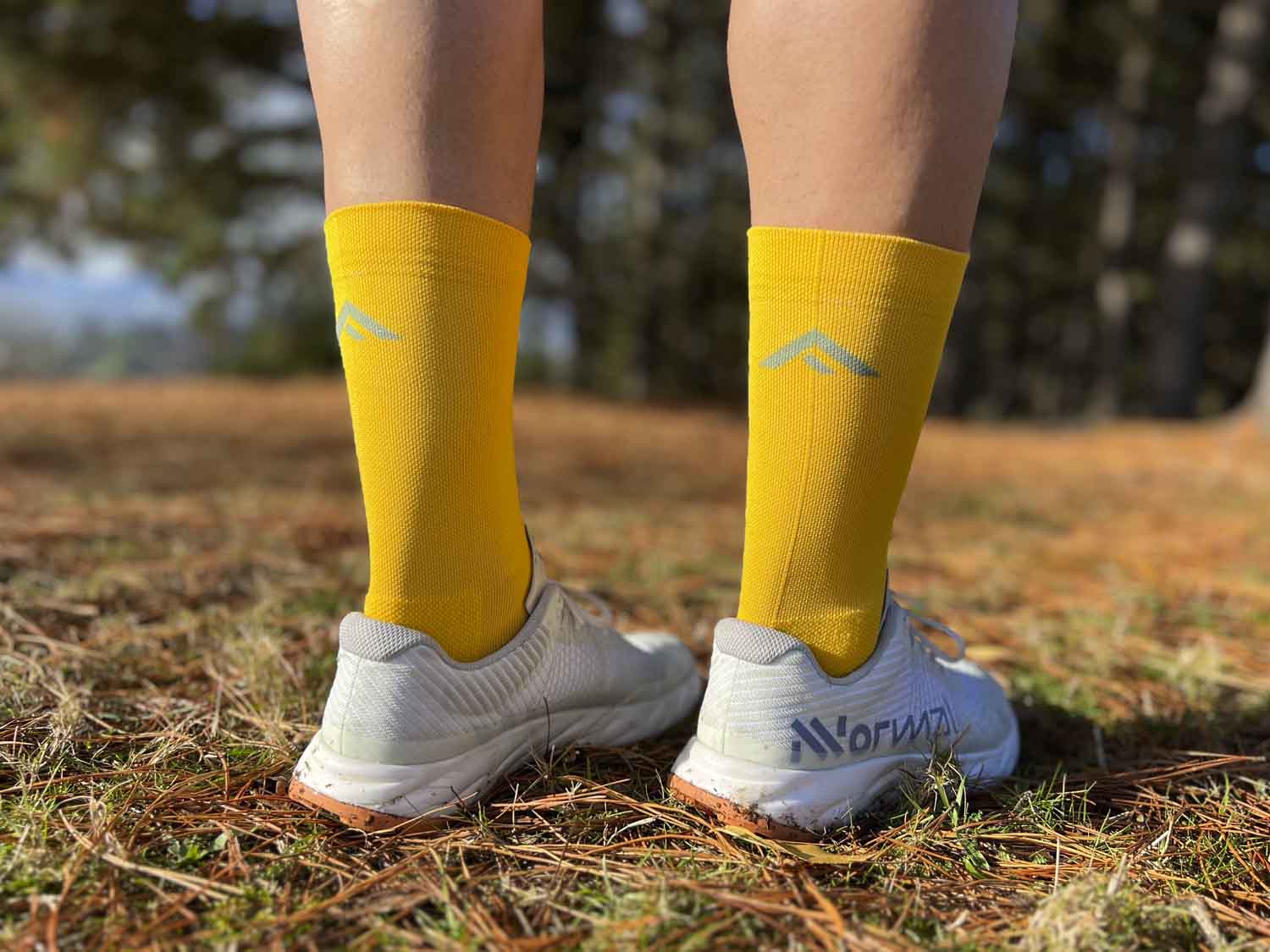CALCETINES FIND YOUR EVEREST LONG CUT - Dandelion